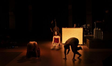 Moooi Night - performance