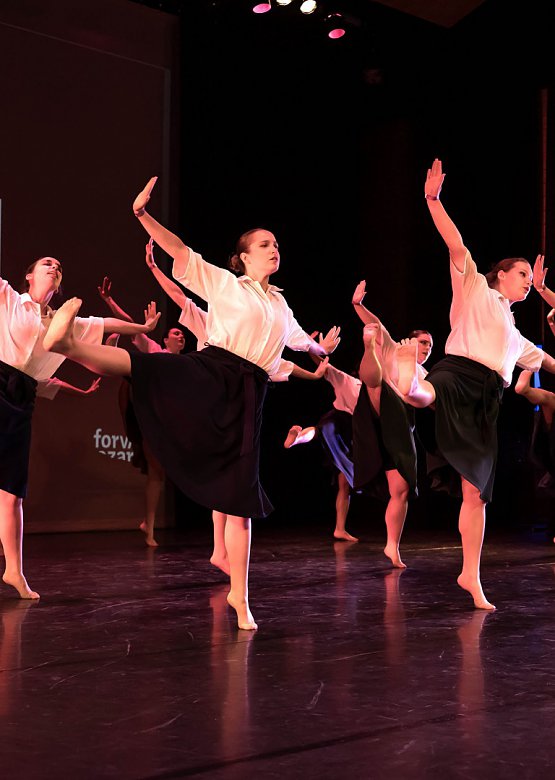 TSDV DanceNation<br> National Student Dance Weekend 2025
