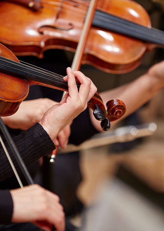 Kessels Museum zoekt muzikanten voor Zolderconcerten!