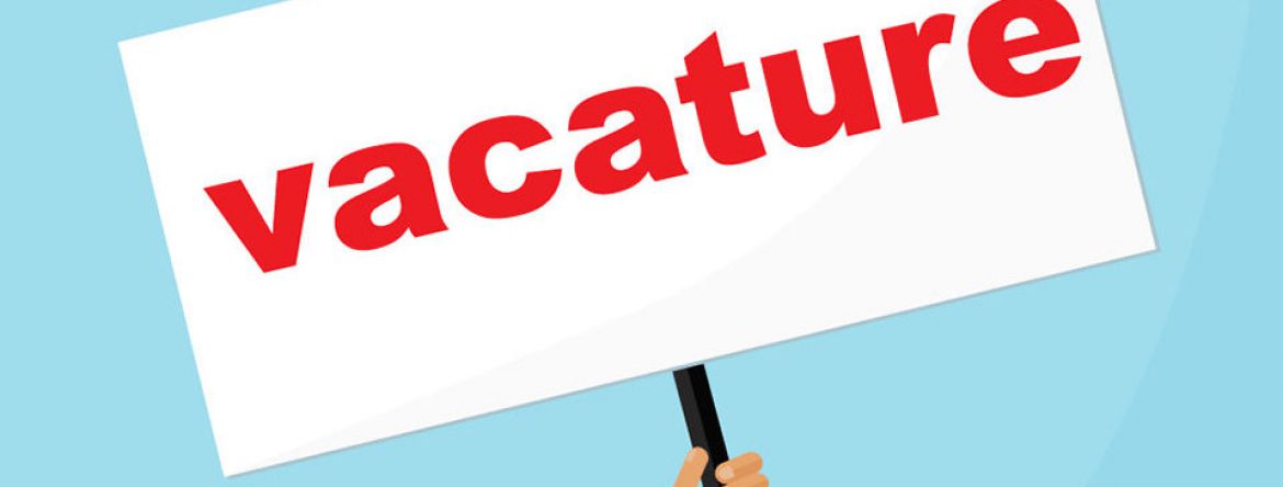Art-fact zoekt twee bestuursleden met financieel profiel 