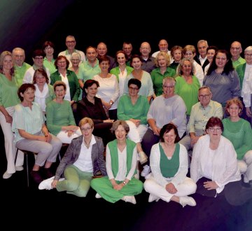 Vocal Sound Goirle is een gezellig popkoor met circa 35 leden. Ze zingen meerstemmig, van sopraan tot bas, dankzij hun mix van mannen en vrouwen. Hun repertoire omvat populaire Engels- en Nederlandstalige hits van de jaren 50/60 tot nu, inclusief medleys van bekende artiesten. Bij optredens worden ze live begeleid door een combo en dirigente Hendrikje Soethout. Met lichte choreografie maken ze hun optredens extra swingend en spat het plezier ervan af!