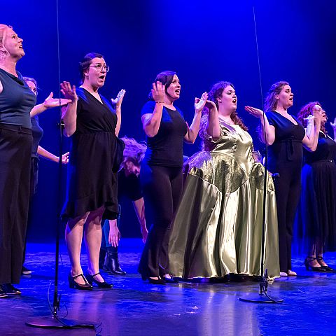 fons zijlmans tilburgonstage2025 65 Fotoboek 4e editie Festival Tilburg on Stage 2025  Art-fact