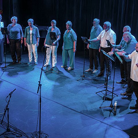 fons zijlmans tilburgonstage2025 66 Fotoboek 4e editie Festival Tilburg on Stage 2025  Art-fact