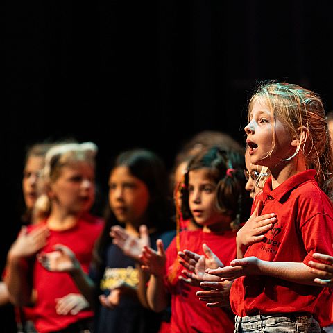 rensbressersfotografie tilburg on stage 20 Fotoboek 4e editie Festival Tilburg on Stage 2025  Art-fact